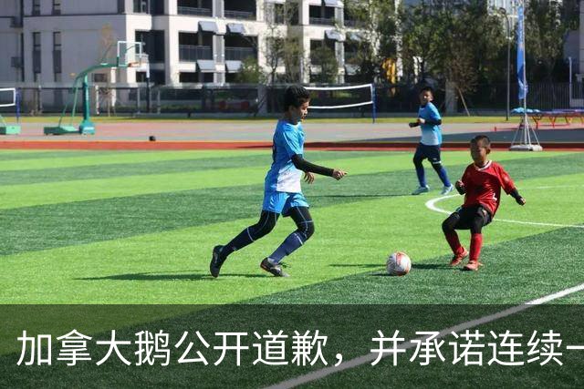 加拿大鹅公开道歉，并承诺连续一年定期清理垃圾